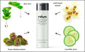 ALOE CUCUMBER ASTRINGENT (202) RAYA SPA