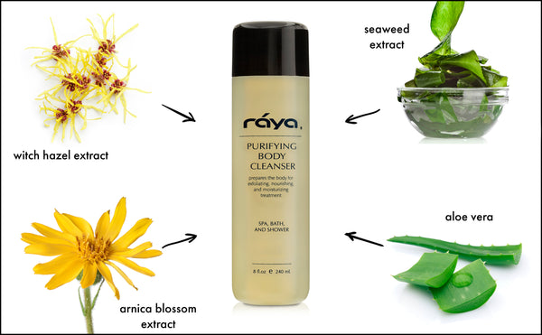 PURIFYING BODY CLEANSER (S-101) - rayaspa