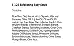 EXFOLIATING BODY SCRUB (S-103) - rayaspa